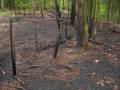 Einsatz in Tydal am 07.05.08