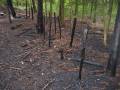 Einsatz in Tydal am 07.05.08