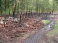 Einsatz in Tydal am 07.05.08