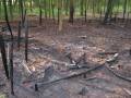 Einsatz in Tydal am 07.05.08