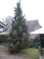 Adventspunsch 2007